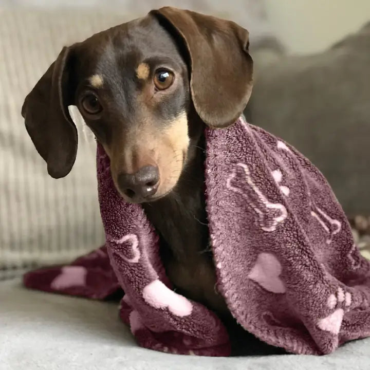 Ancol Comfort Blanket Pink