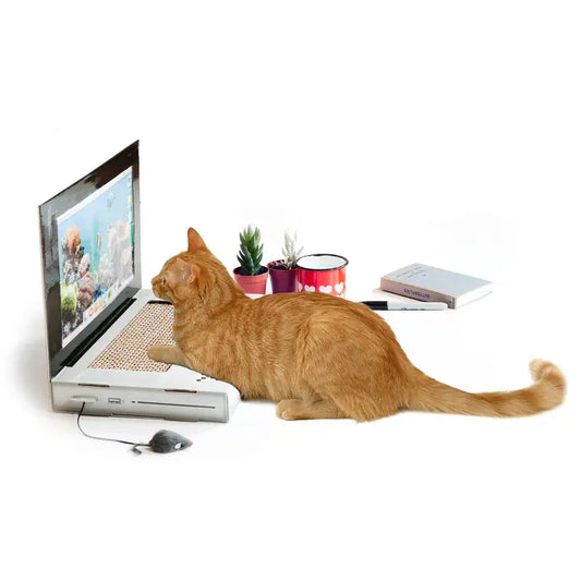 Cat Playhouse Laptop Scratch Pad