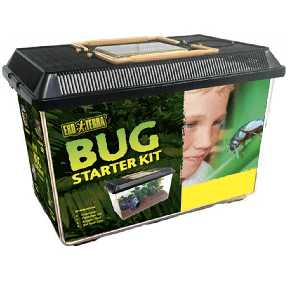 Exo Terra Bug Starter Kit