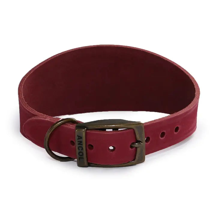 Timberwolf Sighthound Collar - Raspberry