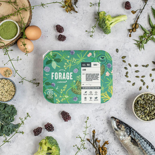 Naturaw FORAGE: Lamb 500g
