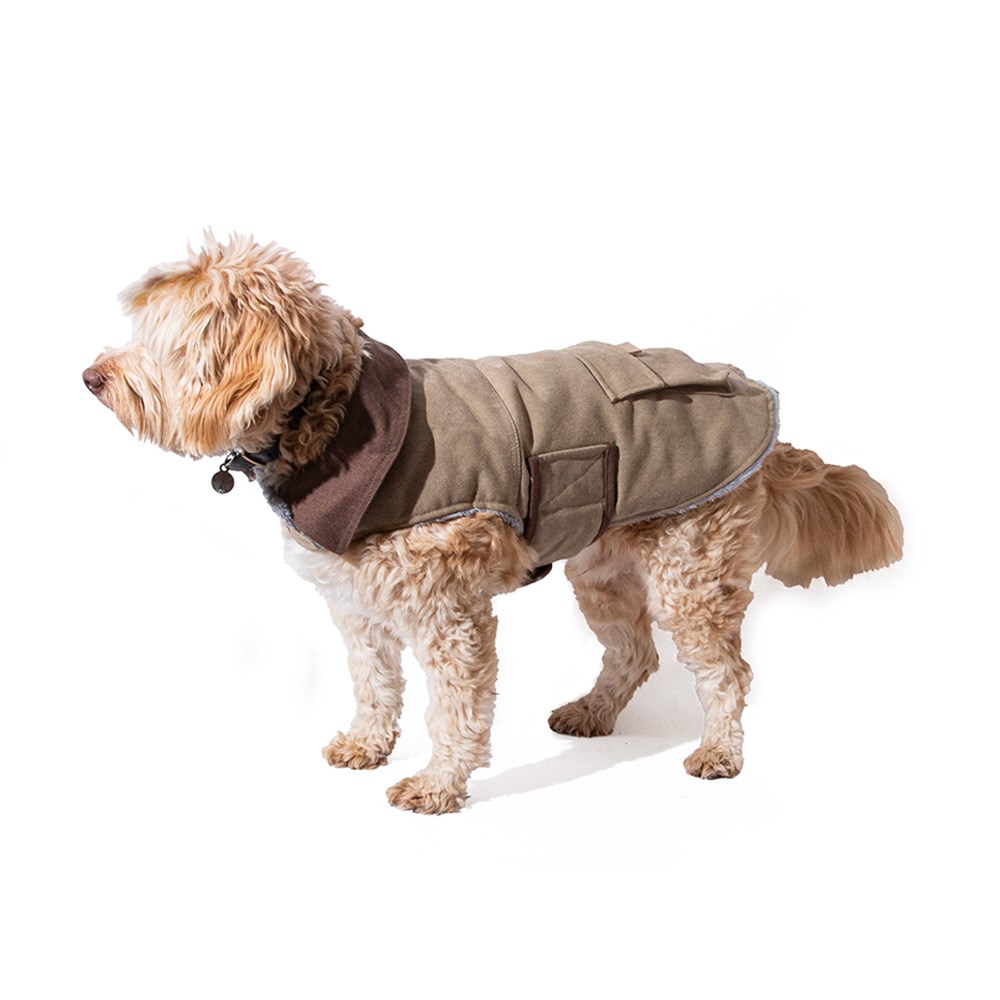 Great&Small Country Adventure Canvas Coat