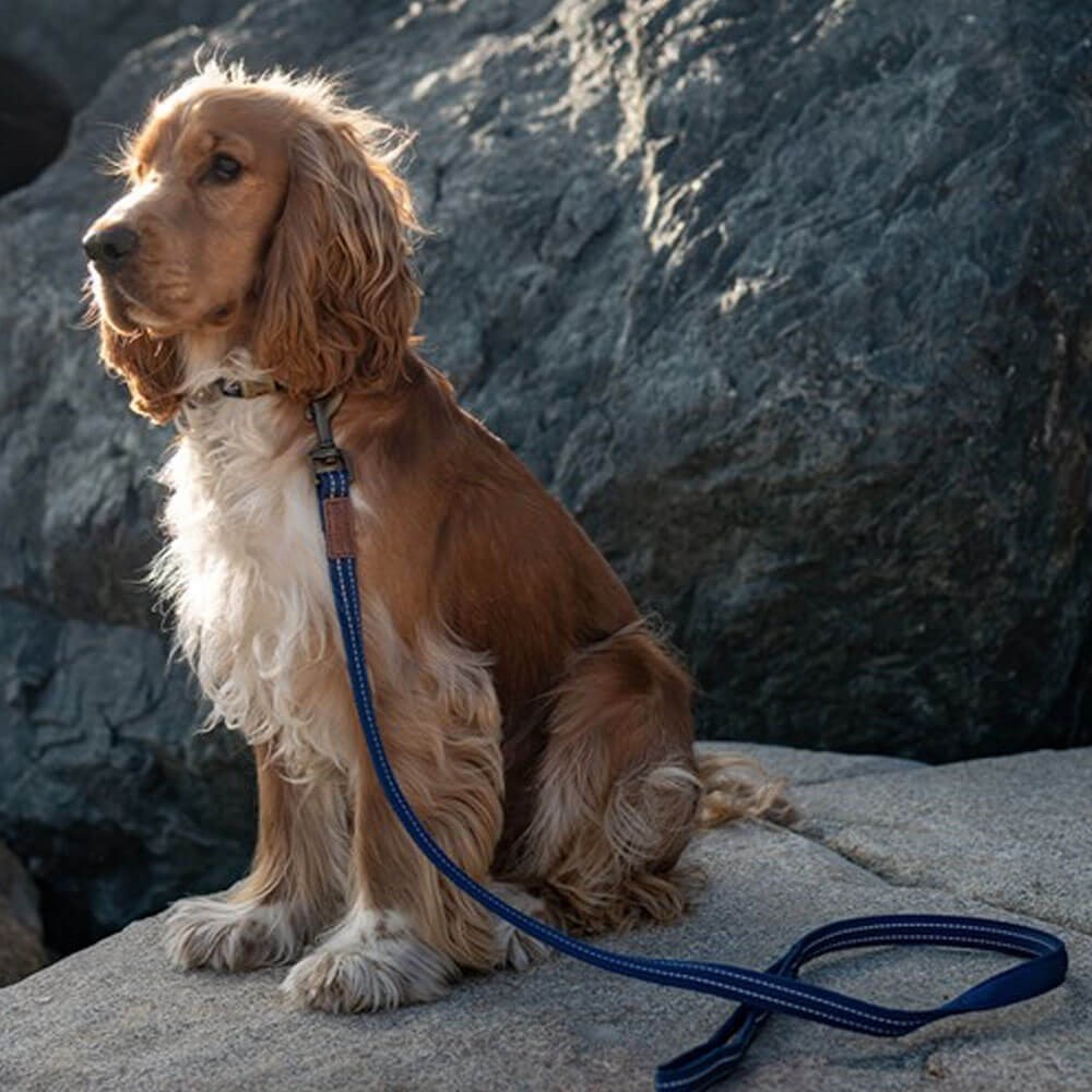 G&S  Country Collar Indigo Blue 30-45cm