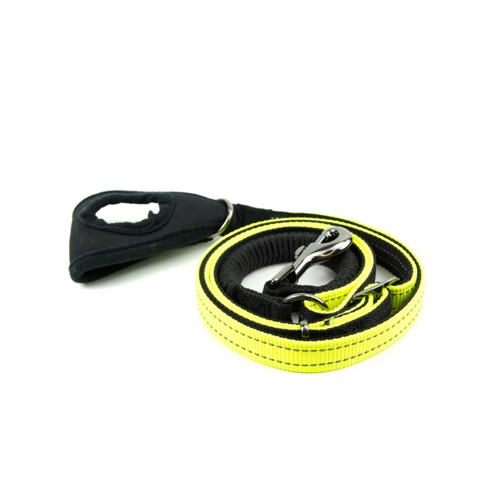 Great&Small Active Hi-Vis Jogging Lead 7.5cm