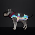 G&S Reflective Rainbow Raincoat Red Trim