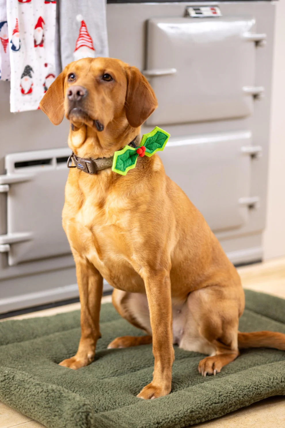 House of Paws Christmas Holly Bow Tie