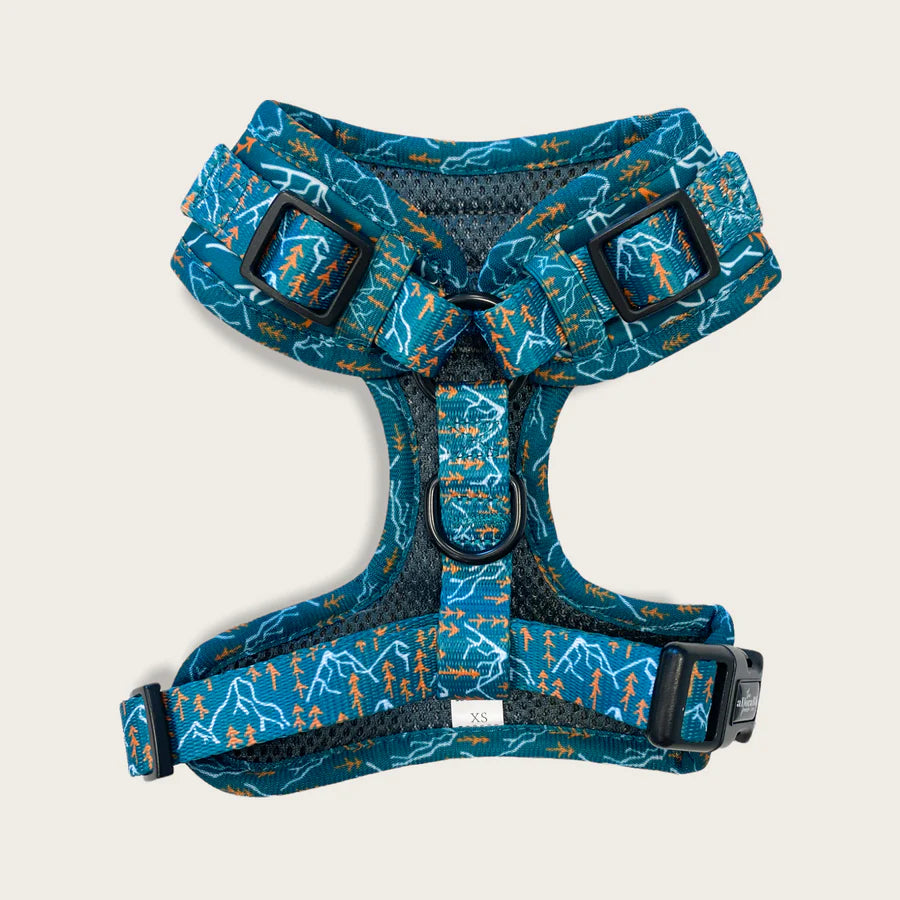 APC Alpine Adventure Harness