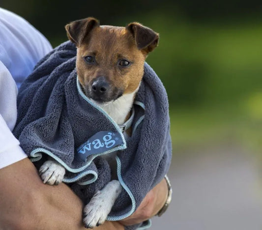 Henry Wag Pet Cleaning Towel