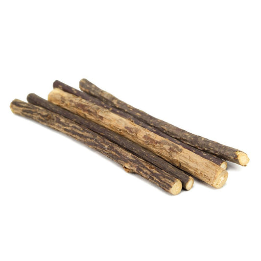 King Catnip Dental Stick
