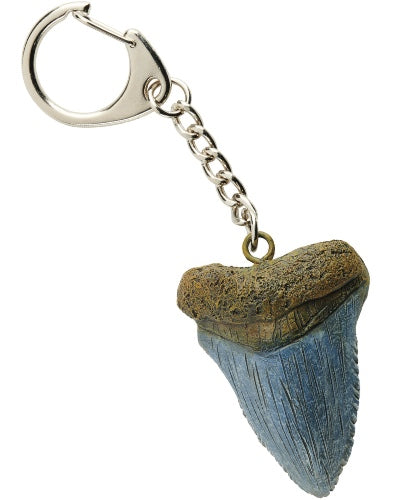 Westair Megalodon Tooth Key Ring
