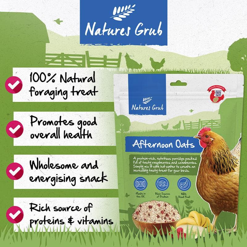 Natures Grub Afternoon Oats 600g - DATED 30.10.25