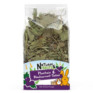 Natural Nibbles Plantain & Blackcurrant Salad 100g