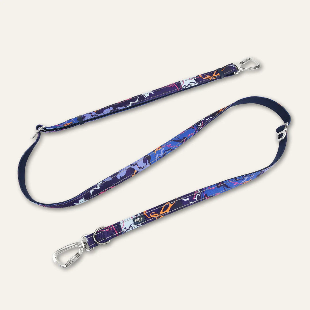 Twiggy Tags Multi-Way Lead - Nebula