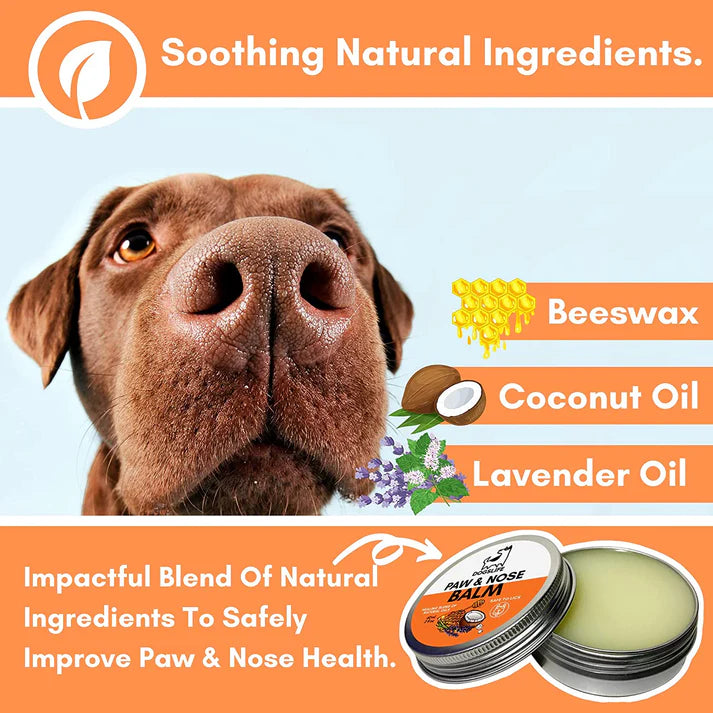 Dogslife Paw and Nose Balm 60ml