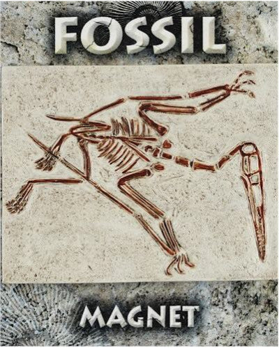 Westair Pterosaur Fossil Magnet