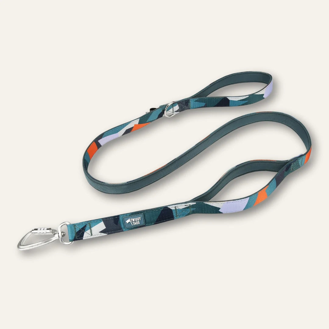 Twiggy Tags Close Control Lead 1.5m - Ridge