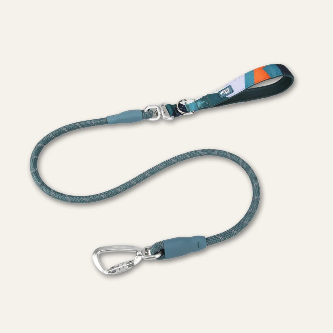 Twiggy Tags Rope Lead 120cm - Ridge