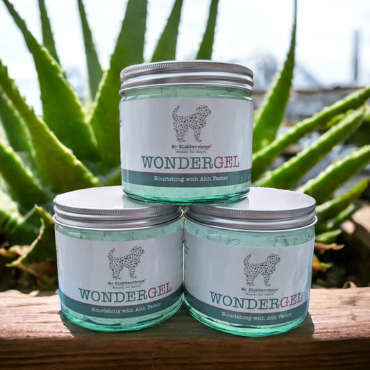 Mr. Slobberchops Wonder Gel 20g