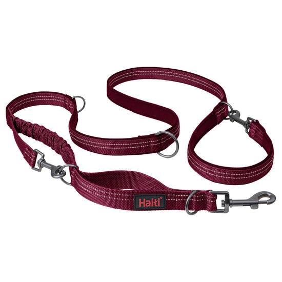 Company of Animals Halti Anatomy Multi Lead - Magenta