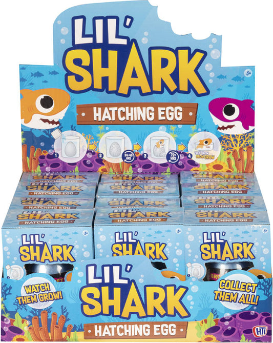 Lil Shark Hatching Egg - Assorted