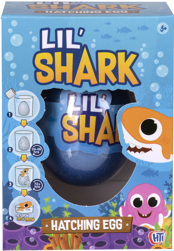 Lil Shark Hatching Egg - Assorted