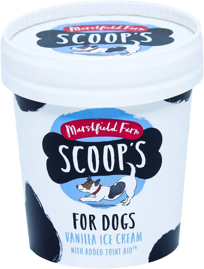 Scoops Vanilla Ice Cream 125ml