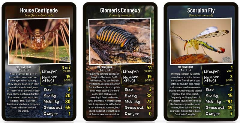 Top Trumps Discover Creepy Crawlies