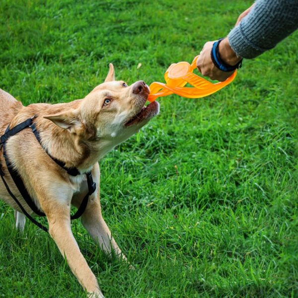 BIONIC Toss-N-Tug Ring 22.7cm