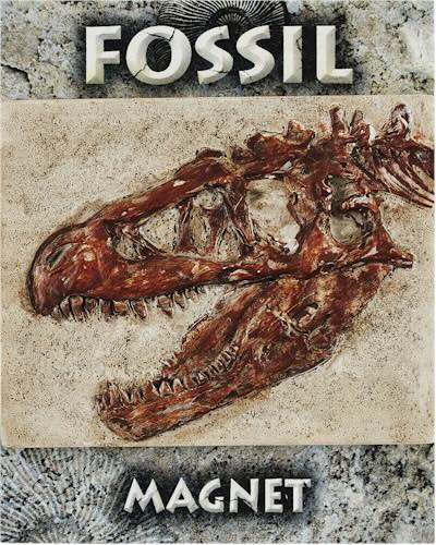 Westair T-Rex Skull Fossil Magnet