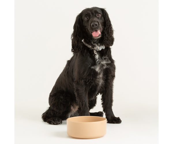 Cane Pet Bowl