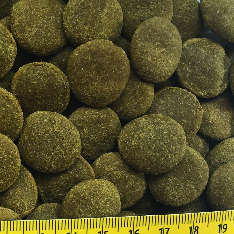 Fish Science Weekend Food 20g Sachet